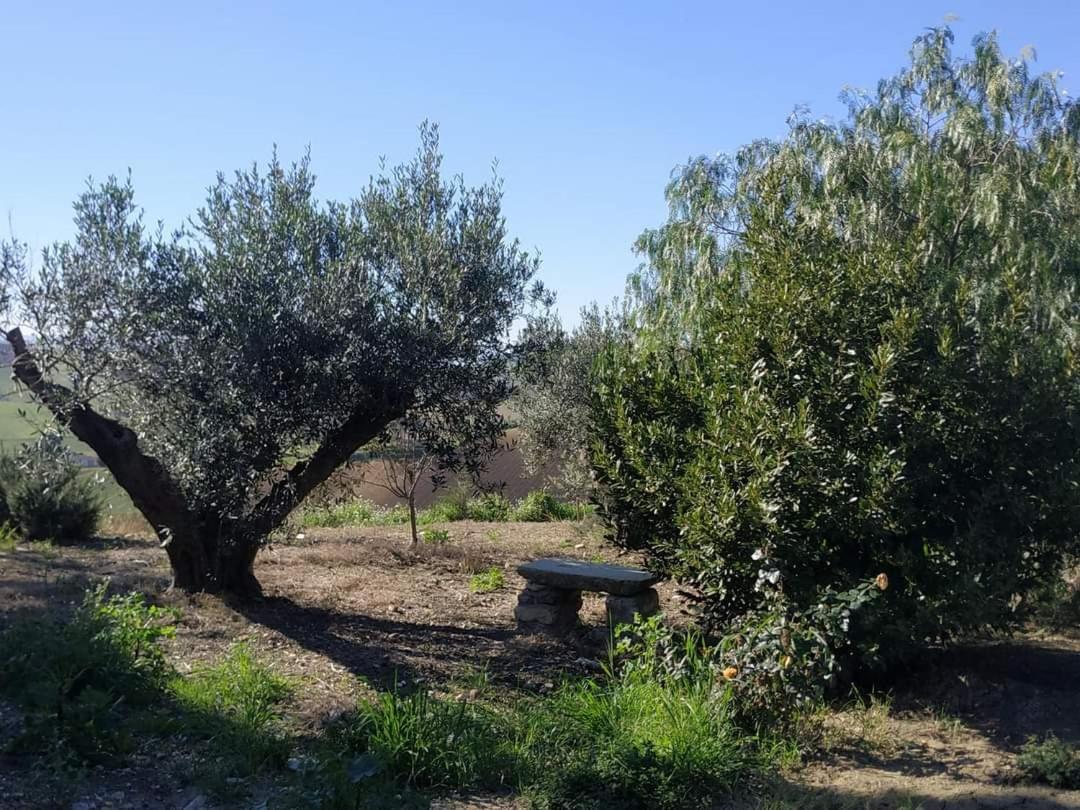 Masseria Baglio Perciata Camporeale Exterior foto